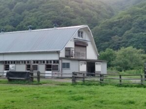 ［インタビュー］関東オークス2着馬ラブパイローなどを生産。トラストスリーファームの代表が語る、生産牧場としての想い。