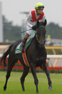 アルコセニョーラ - いつも笑顔をくれるタフなステイ牝馬