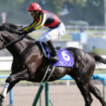 数奇な巡り合わせを感じる、2012年セントライト記念の出走馬たちを振り返る。