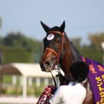 ［重賞回顧］心身ともに充実期を迎えたメイケイエールが、スプリント路線の頂点に王手～2022年・セントウルS～