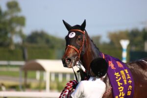 ［重賞回顧］心身ともに充実期を迎えたメイケイエールが、スプリント路線の頂点に王手～2022年・セントウルS～