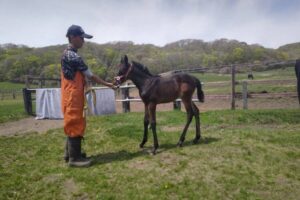 ［連載・クワイトファインプロジェクト］ 第16回　「競馬は誰のもの？」〜知らしめることと支えること〜