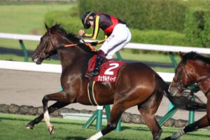 ［重賞回顧］駆け抜ける末脚は母譲りか、父譲りの覚醒か～2022年・オールカマー～