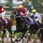 ［牝系図鑑］ディープボンドやローレルゲレイロらを輩出。気の強さと圧倒的なスピードを兼ね備えたモガミヒメ牝系。