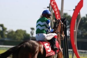 メイケイエール　引退記念ジャンボバスタオル　高松宮記念　競馬　JRA   ウマ娘 メイケイエール 引退記念ジャンボバスタオル 高松宮記念 競馬