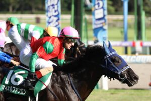 そんなステイにまた騙されて - マイネルファンロンの2021年新潟記念