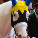 白毛一族は芝でも重賞を勝てる - 2020年札幌2歳S・ソダシ