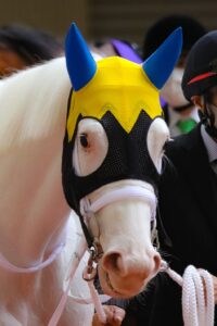 白毛一族は芝でも重賞を勝てる - 2020年札幌2歳S・ソダシ