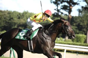 ［重賞回顧］耐え忍びながら前に押し進み、開いた復活の道筋～2022年・新潟記念～