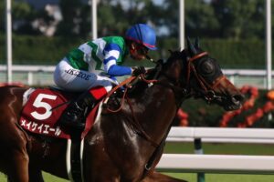 ［高松宮記念］メイケイエール、ナムラクレア、アグリ。好メンバーが集結した大混戦の行方は？ - 重賞プレビュー