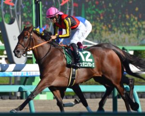 秋華賞馬レッドディザイア❗️現地的中単勝馬券 レッドディザイア 秋華賞現地的中単勝馬券 - メルカリ