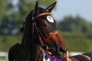 ［競馬ニュース］2022年秋競馬プレビュー スプリント路線編