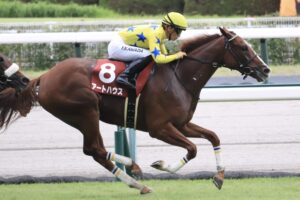 ［中山牝馬S］昨年は15番人気馬と12番人気馬で決着した波乱の牝馬重賞。好メンバーが揃った今年もその傾向は継続か？ - 重賞プレビュー