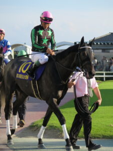 ［遊駿＋］白山大賞典　連覇列伝