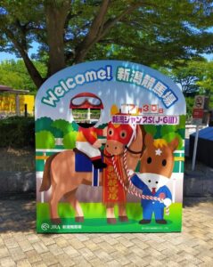 中山ならなんでも来い!!」。マツリダゴッホのオールカマー3連覇