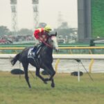 貴方に勝者の栄光を - プレクラスニー
