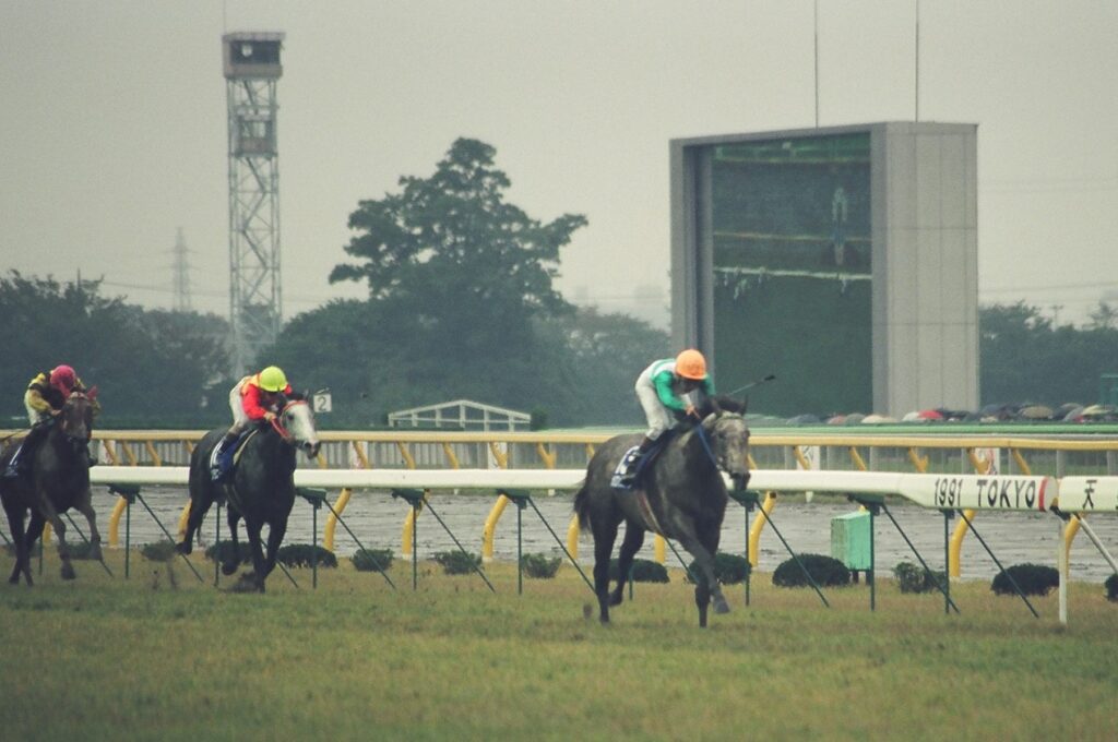 メジロマックイーンの１着降着／１９９１年天皇賞（秋） - 競馬