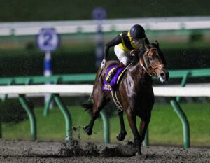 ［地方レース回顧］さらば「7つ星」、来たれ「マイルの王者」～2022年・MCS南部杯～