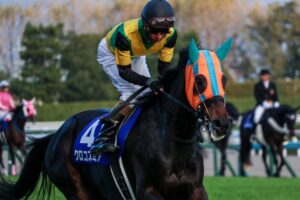 クロコスミア～名は体を表す～