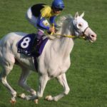 白毛馬ブームの原点、ユキチャンの秋華賞。