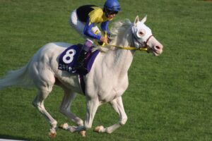 白毛馬ブームの原点、ユキチャンの秋華賞。