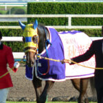 ［写真］ラインクラフトvsエアメサイア。当時のパドック写真で振り返る、牝馬三冠・最終戦2005年秋華賞。