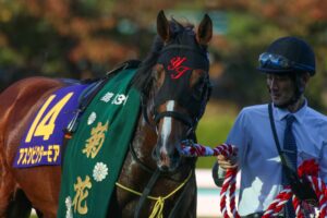 追悼］早逝の名馬、アスクビクターモア。力強き菊花賞馬の駆け抜けた12戦を振り返る。 | ウマフリ | 競馬コラム＆ニュース