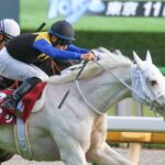 ［フェブラリーS］ゴールドティアラ、ファストフレンド、トゥザヴィクトリー、ソダシ。フェブラリーSで牡馬に敢然と立ち向かった牝馬たち