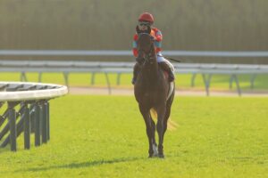 ［重賞回顧］府中1800に潜むスパイスは勝利の隠し味～2022年・東京スポーツ杯2歳S～