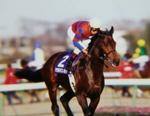 マチカネキンノホシ - Forget me not。忘れようにも忘れられない、軍団屈指の良血馬。