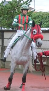 金沢を『金の船』の仔が行く! 金沢競馬のゴールドシップ産駒たち。