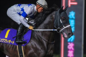 「ダート界の賢者」チュウワウィザードの冒険
