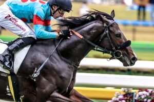 ［新馬戦回顧］メイクデビューの勝者達 - 2022年11月13日(日)-