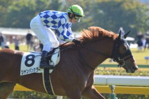 ［新馬戦回顧］メイクデビューの勝者達 - 2022年10月29日・30日