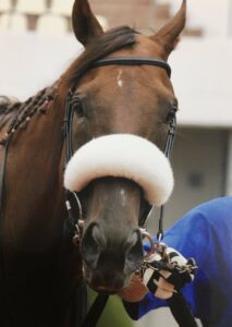 ［連載・クワイトファインプロジェクト］第19回 2006年アルゼンチン共和国杯出走馬たちのそれぞれの生き様