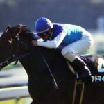 ［JBCクラシック］アドマイヤドンにワンダーアキュート、ホッコータルマエ……。”生産者の祭典”を彩った名馬たちを振り返る。