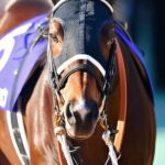 ［マーチS］二度の骨折を乗り越えたインカンテーション。復活の狼煙を上げた一戦を振り返る。