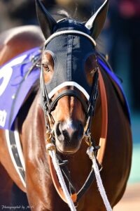 ［マーチS］二度の骨折を乗り越えたインカンテーション。復活の狼煙を上げた一戦を振り返る。