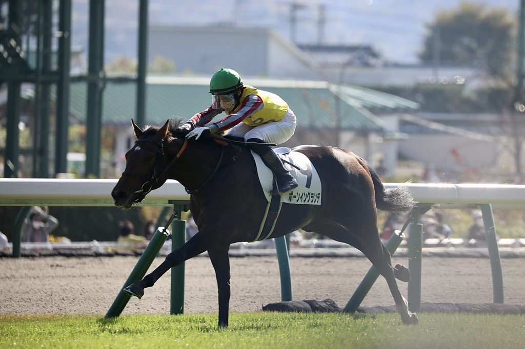 ［新馬戦回顧］メイクデビューの勝者達 - 2022年11月12日(土)-