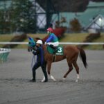 太陽の輝きと共に…。愛された"◯地"の活躍馬トーセンスーリヤが歩んできた、通算43戦の道のりを振り返る 。