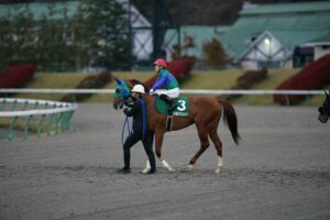 太陽の輝きと共に…。愛された"◯地"の活躍馬トーセンスーリヤが歩んできた、通算43戦の道のりを振り返る 。