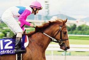 期限切れ単勝馬券】19回マイルチャンピオンSトウカイポイント2002/11/17 2002年 マイルチャンピオンシップ（GⅠ） | トウカイポイント