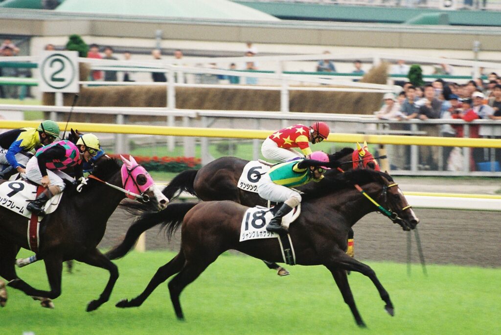 芦毛のマル外馬クロフネが切り開いた蹄跡。 - クロフネのニッポン競馬 