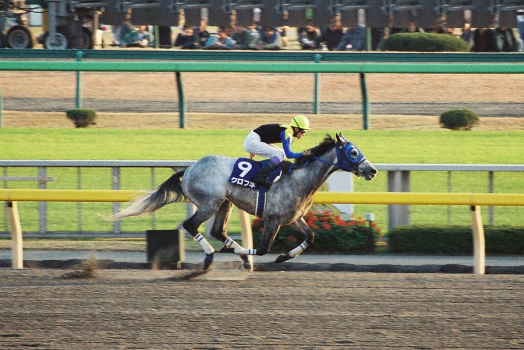 芦毛のマル外馬クロフネが切り開いた蹄跡。 - クロフネのニッポン競馬 