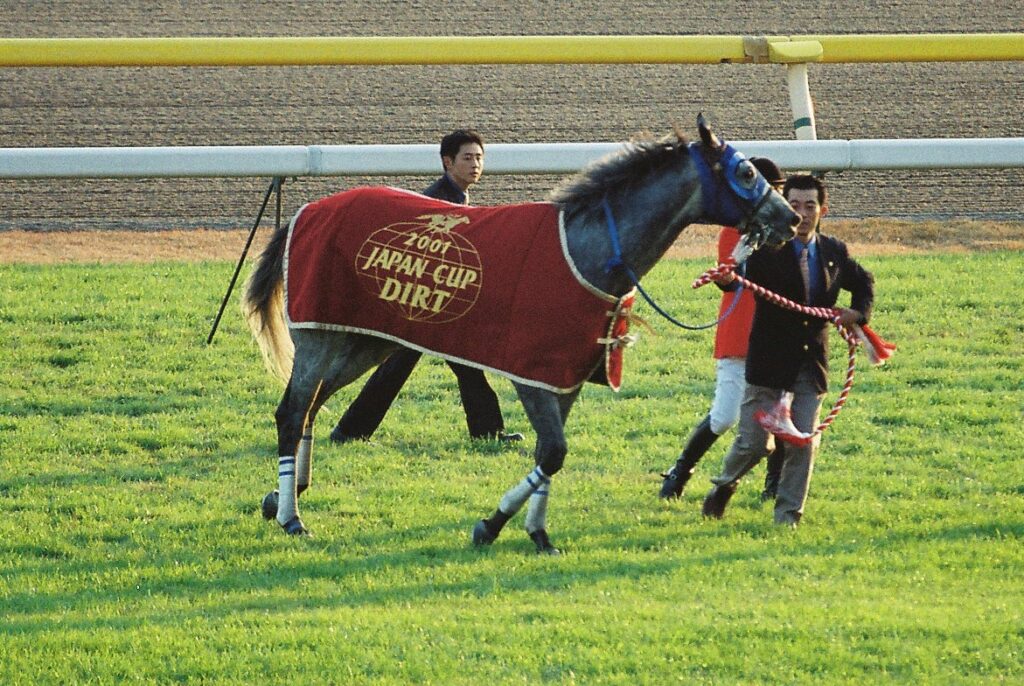 芦毛のマル外馬クロフネが切り開いた蹄跡。 - クロフネのニッポン競馬開国史 | ウマフリ | 競馬コラム＆ニュース