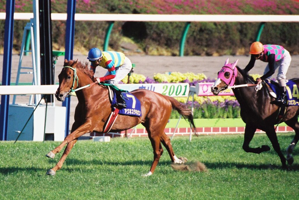 芦毛のマル外馬クロフネが切り開いた蹄跡。 - クロフネのニッポン競馬