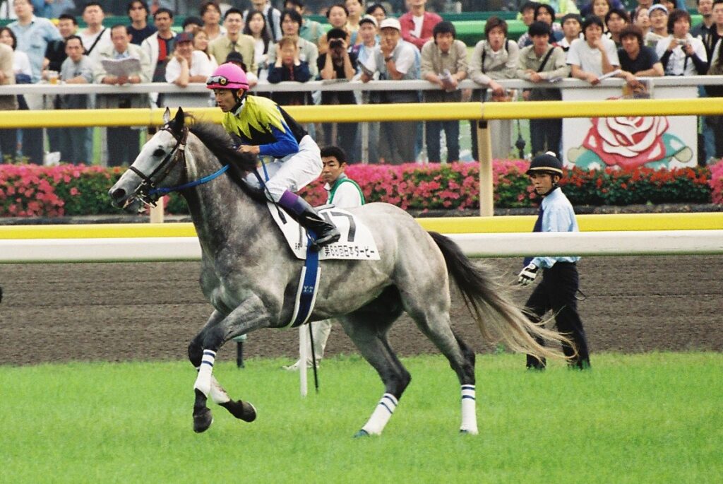 芦毛のマル外馬クロフネが切り開いた蹄跡。 - クロフネのニッポン競馬