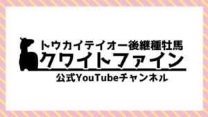 ［連載・クワイトファインプロジェクト］第18回 You Tubeチャンネル開設！"真に発信すべきこと"とは何かを考えてみる。