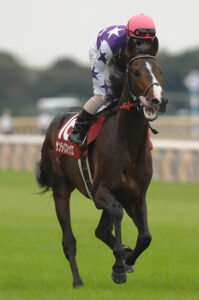 「最後」の舞台、授けられた翼 - 2007年中日新聞杯・サンライズマックス