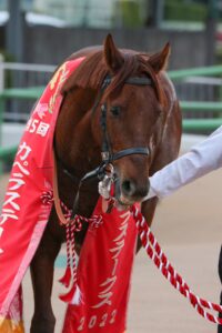 ［重賞回顧］記憶に残る名馬ラニ。産駒の重賞初制覇はスプリント戦で規格外の圧勝！～2022年・カペラＳ～